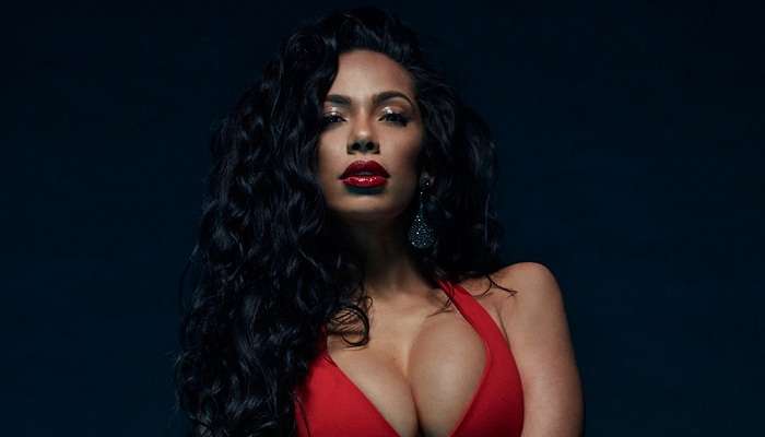 Interesting Facts About  Erica Mena - Safaree Samuals' Wife & Baby Mama
