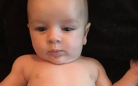 Waylon Tripp Parker: A Glimpse into the Life of William True Stevenson's Son